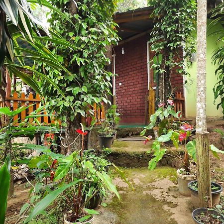 Green Heaven Lodge Ella Exterior foto
