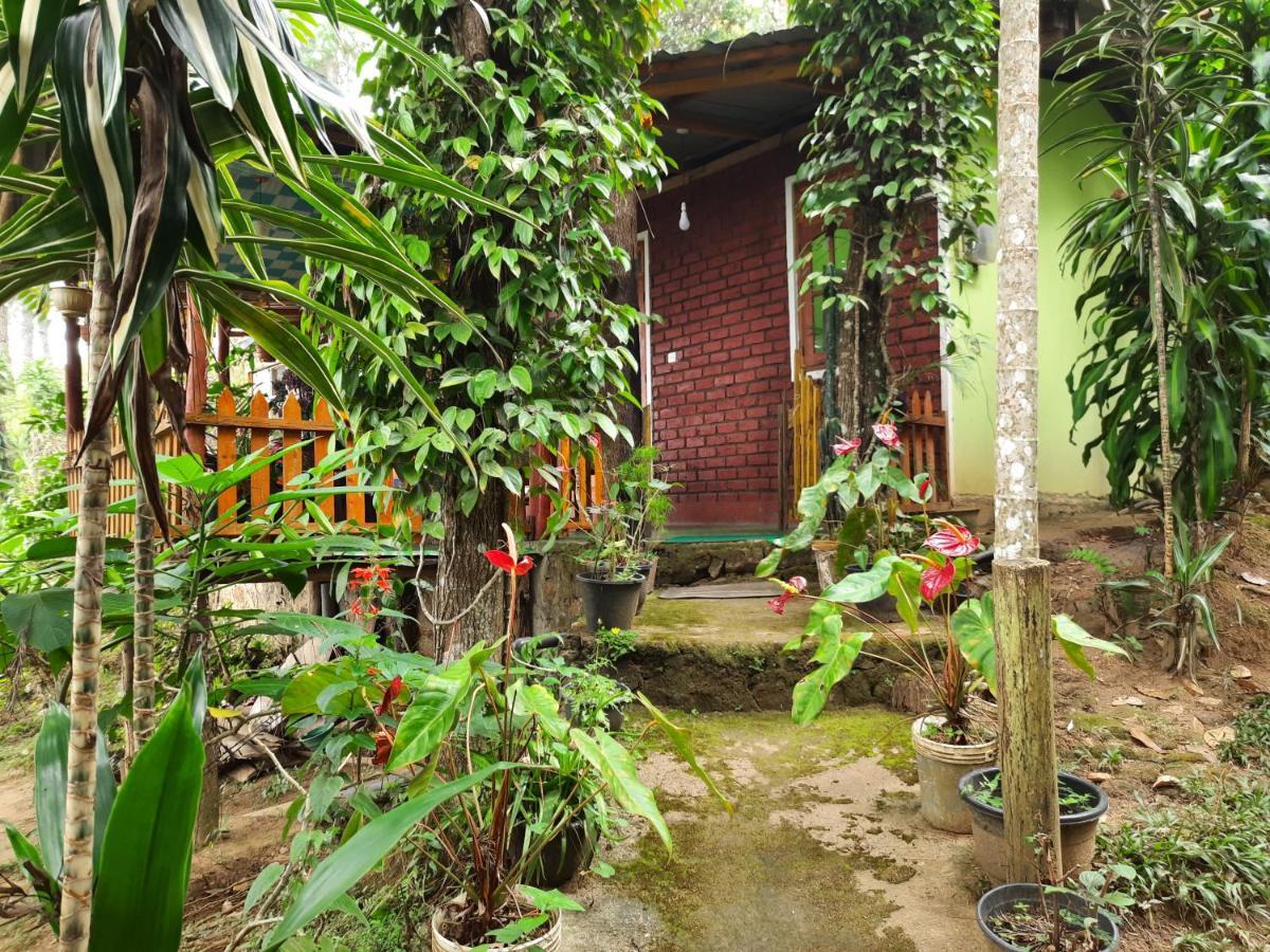 Green Heaven Lodge Ella Exterior foto